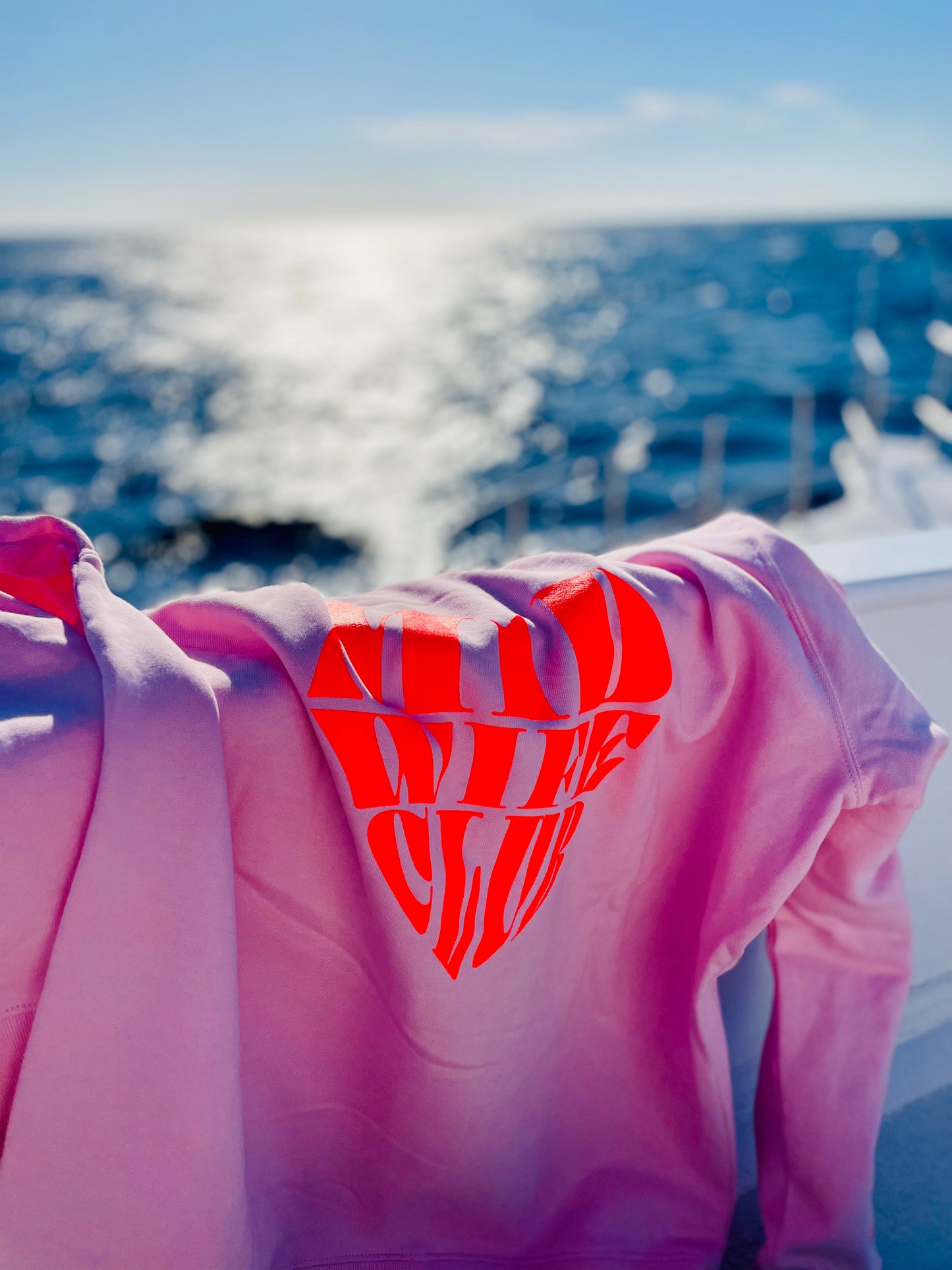 FIRST ZIP IT AWAY HOODIE